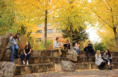 people sitting in rock seating area with autumn trees behind them
