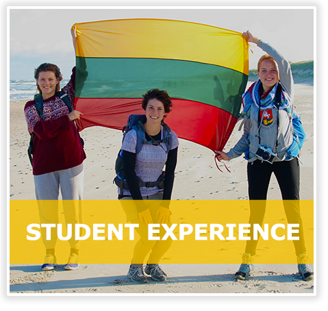 Student Experience with picture of students with flag on beach