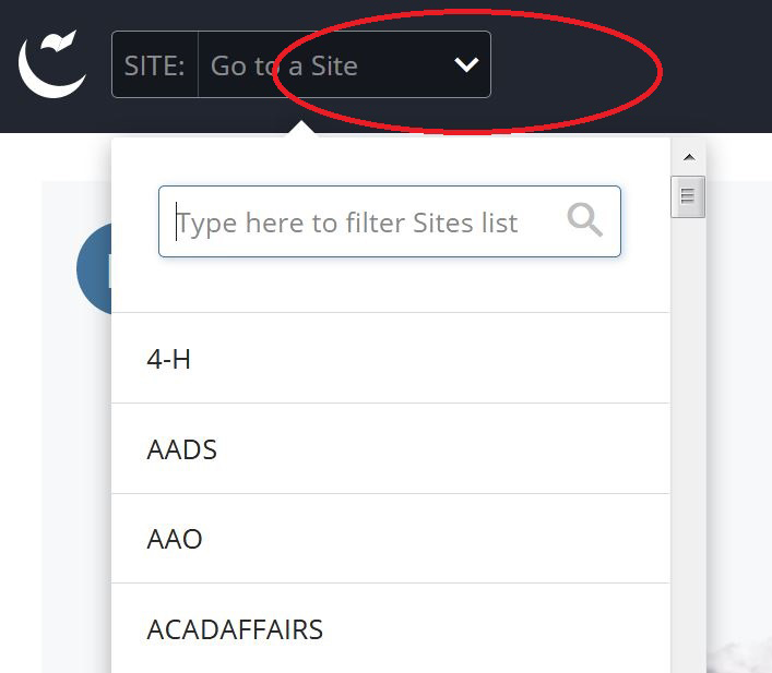 Nagivating to to yours site in the drop down menu in the CMS