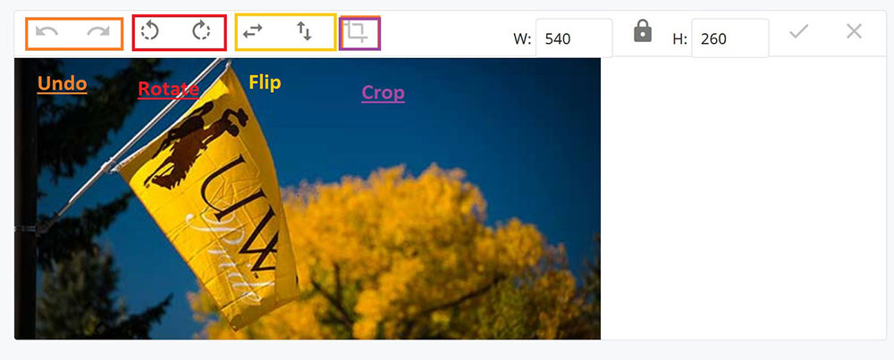 Undo, rotate, flip and crop image editing options