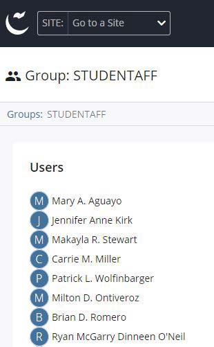 Users listed in selected group
