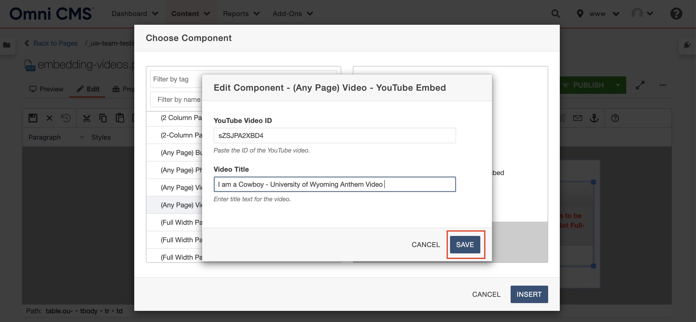 embed video tutorial continued screenshot