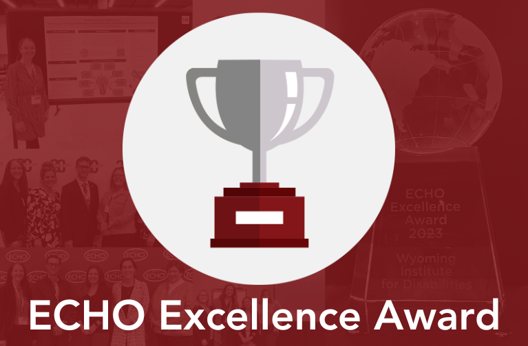Collage of ECHO photos. Text states "ECHO Excellence Award"