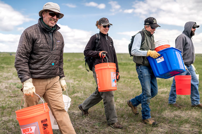 People working in field with orange buckets