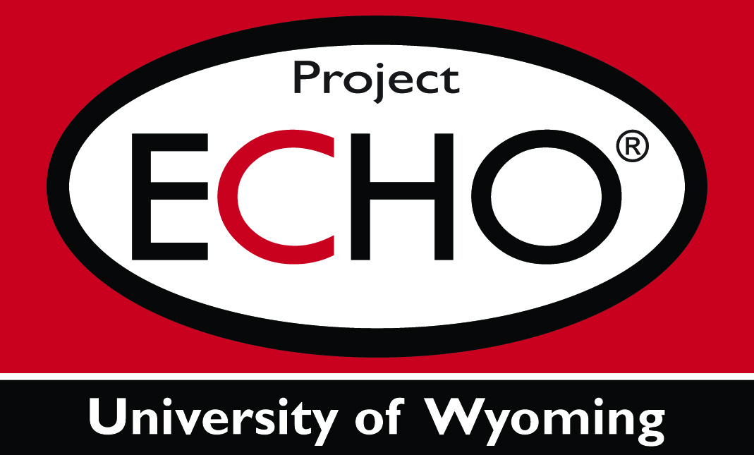 echo logo