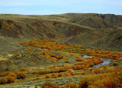 Field with stream and foothills