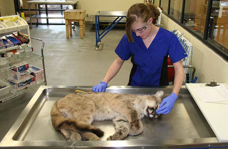 Wyoming State Veterinary Laboratory | University of Wyoming