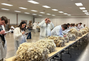 Students classes wool at UW 7220 competition