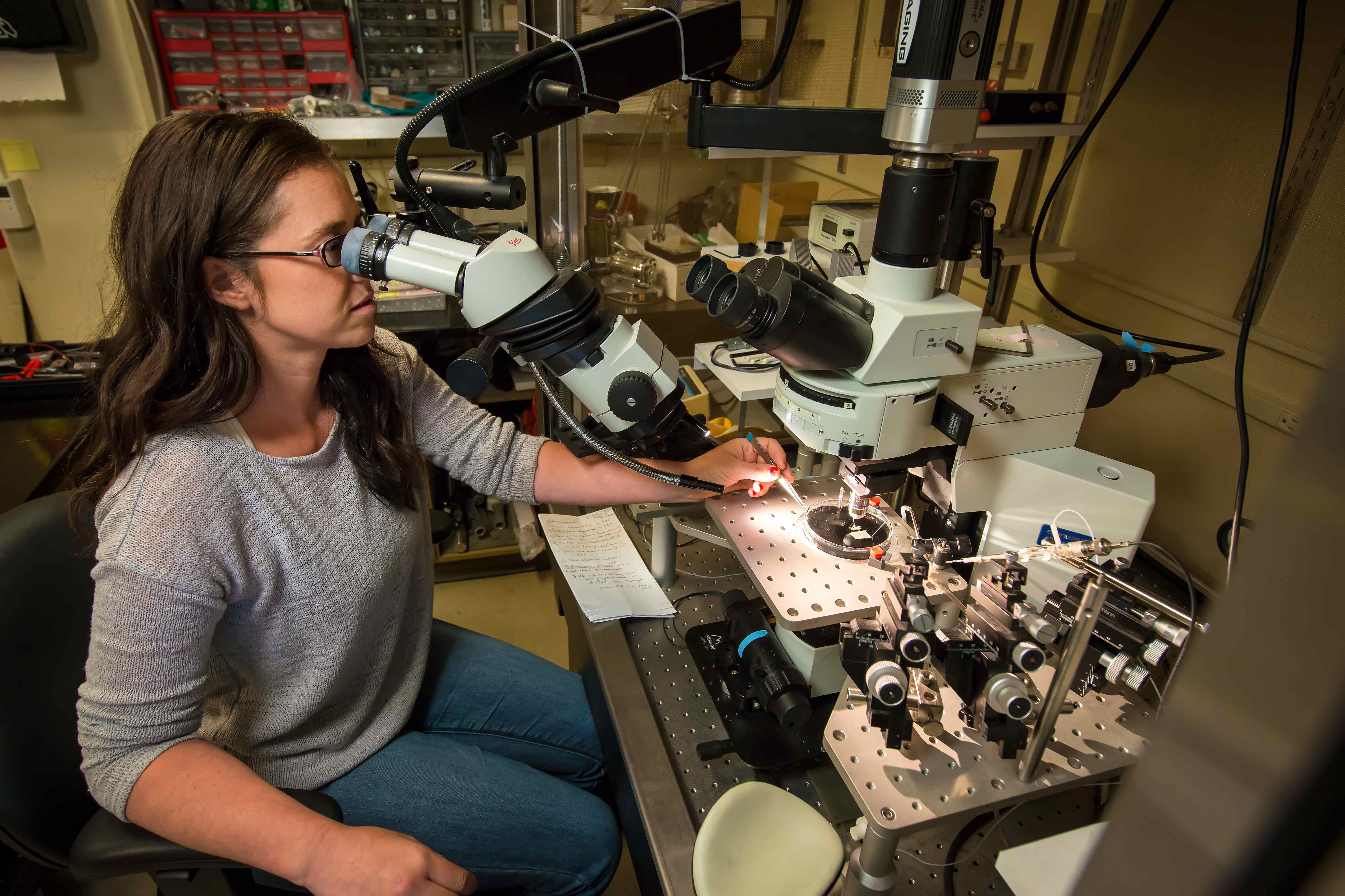 Researcher looks into large microscope