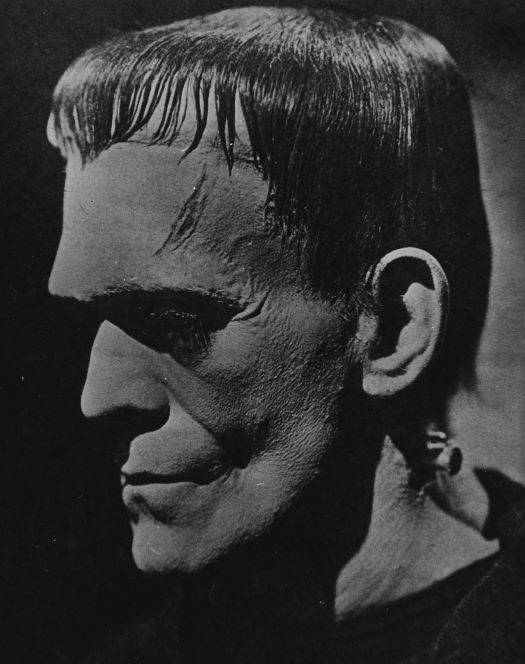 Sideview of the face of Frankenstein