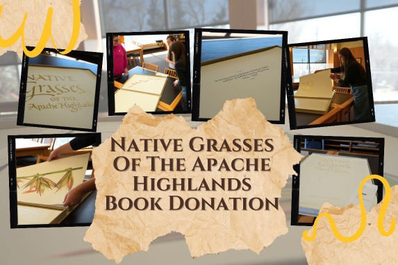 multiple images of the Native Grasses of The Apache Highlands, along with thext that reads that book title