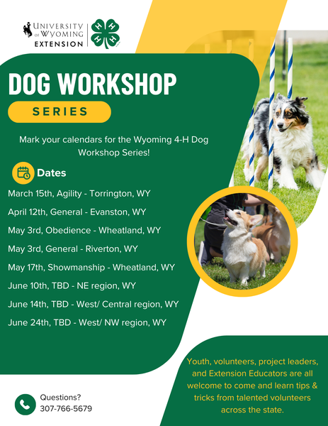 Dog Workshop