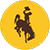 bucking horse icon