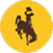 bucking horse icon