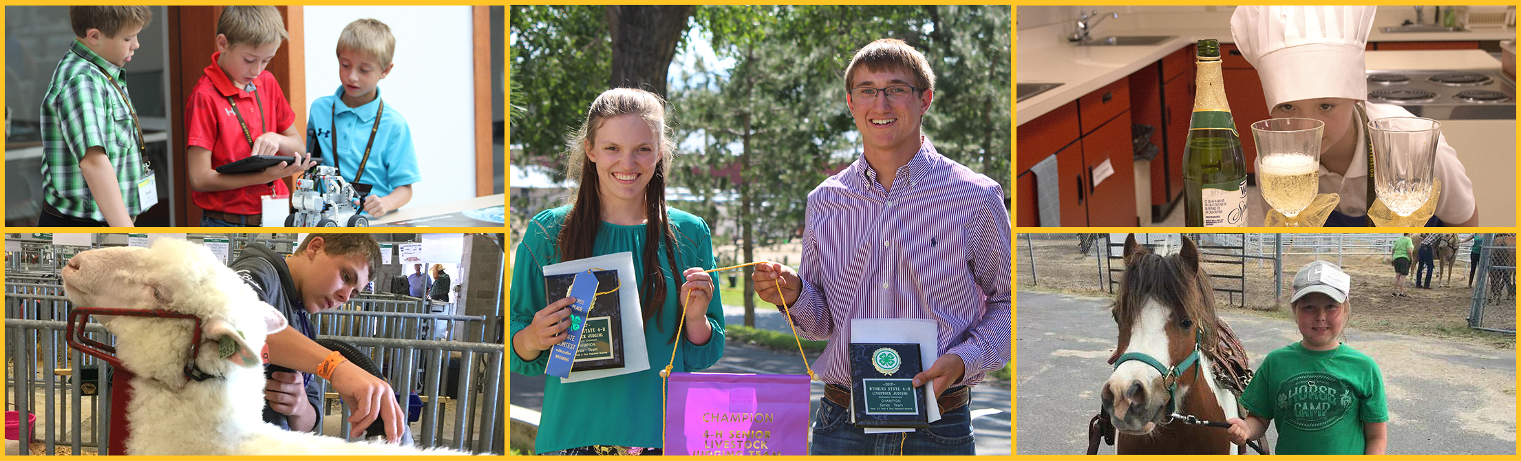 Wyoming 4-H participants at various events