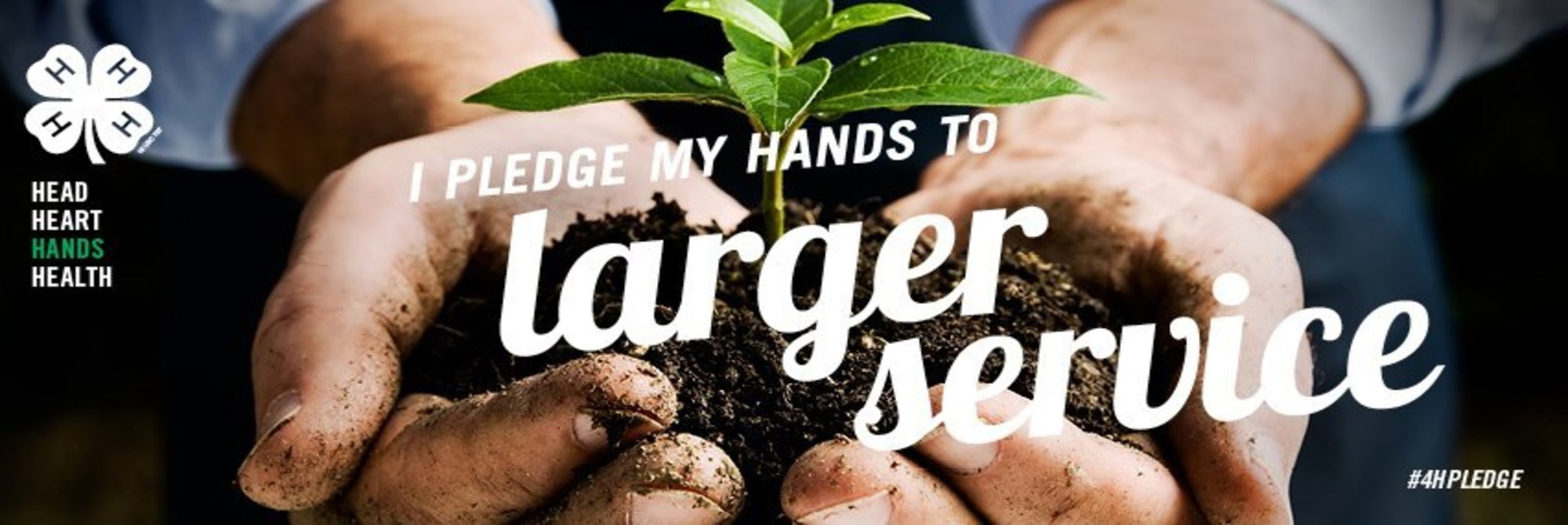 Hands to Larger Service logo