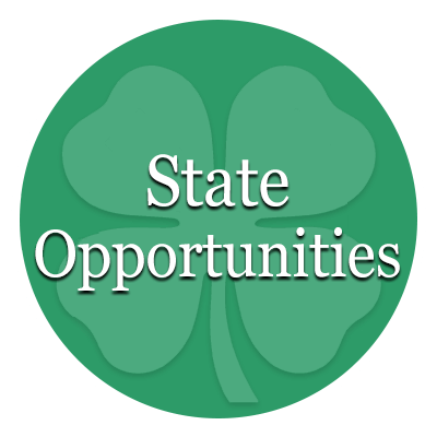 State Opportunities