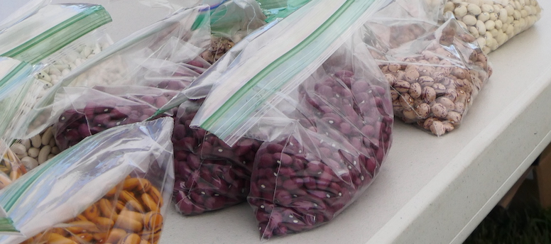 assorted varieties of dry beans in plastic bags