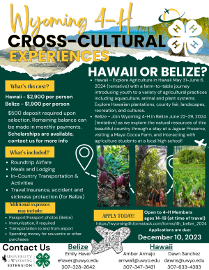 cross cultural experiences flyer