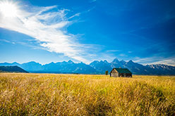 field of ripe grasses and a barn against blue sky and mountain range