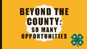 Beyond the County - so many opportunities