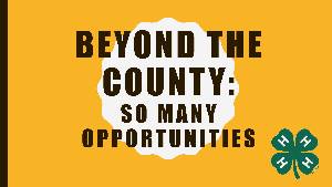 Beyond the County - so many opportunities