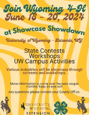 closeup of showcase showdown flyer