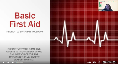 Basic First Aid with Sarah Holloway