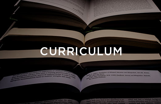 Curriculum