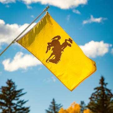 UW flag against a blue sky