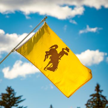 a photo of the UW flag