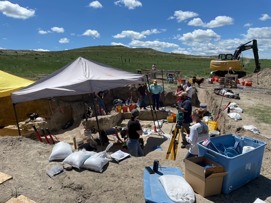 excavation site in field