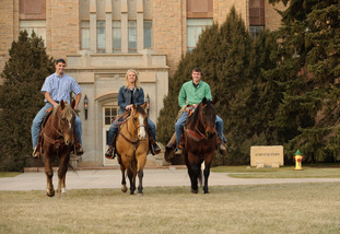Three people riding horses in front of Ag building