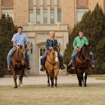 three students riding horses on campus