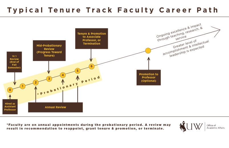 Diagram of tenure track career path