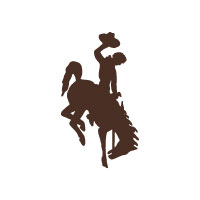 uw bucking horse logo