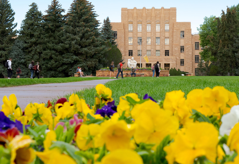 A beautiful college building in the background with yellow flowers in the front.