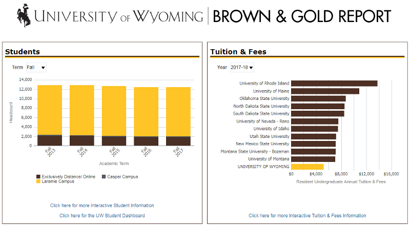 University of Wyoming Brown & Gold Report splash image