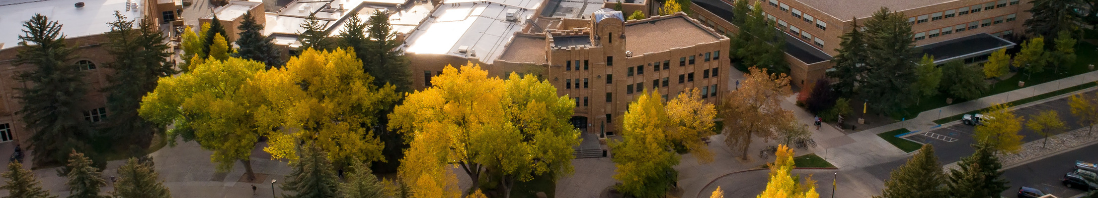 Campus in Fall