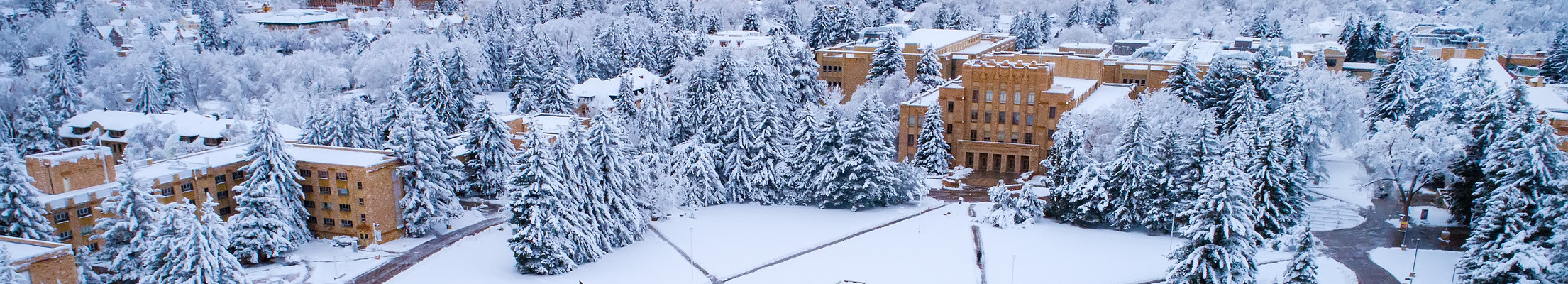 Campus in Winter