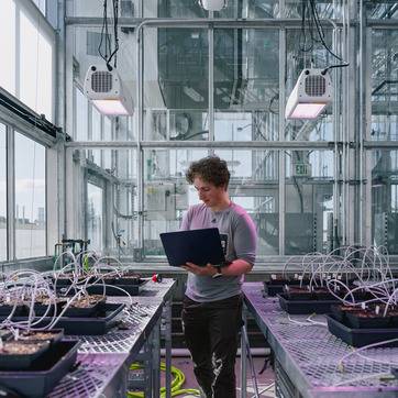A UW student types data into a laptop as they walk amongst soil samples in a lab at University of Wyoming.