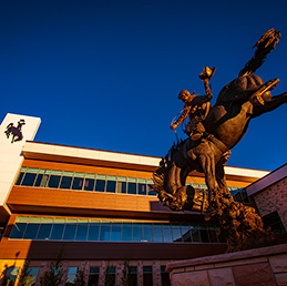 Bucking horse statue