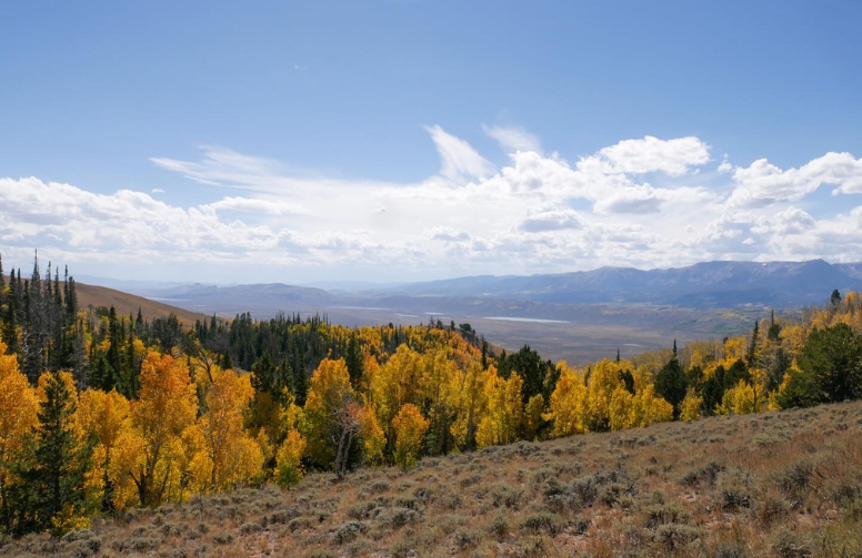 fall landscape around Laramie