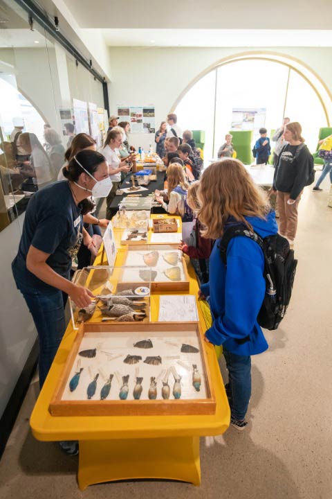 Students visit a zoology exhibit on campus.