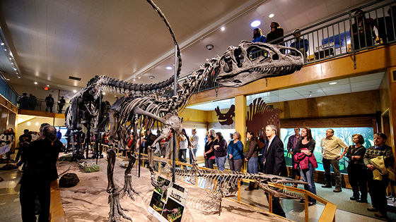 A Look Inside the Geological Museum