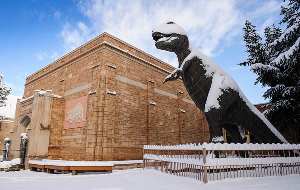 Snowy t-rex statue outside of the Geology Museum