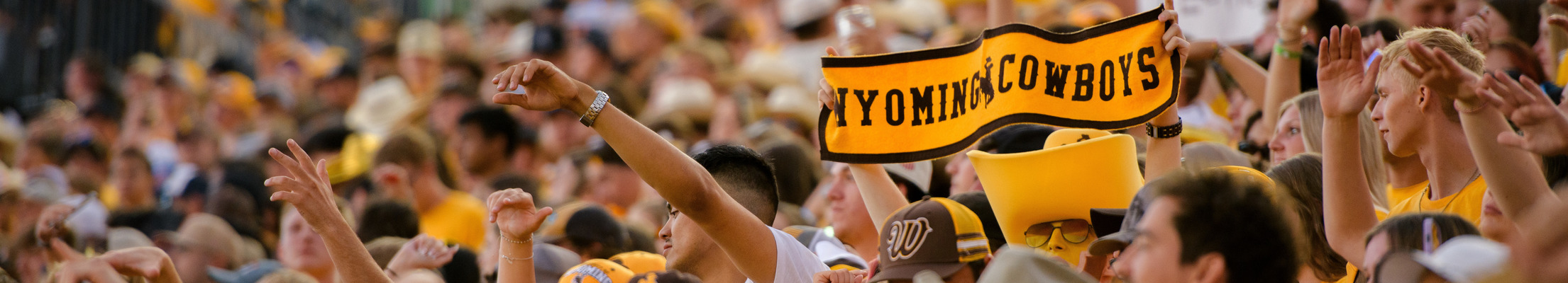 A Wyoming Cowboy flag is head up among fans at a UW football game.