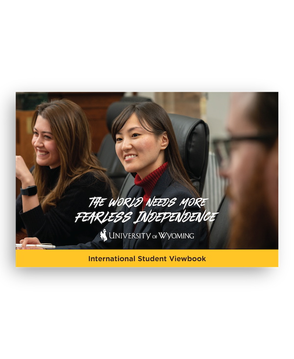 The UW International Viewbook