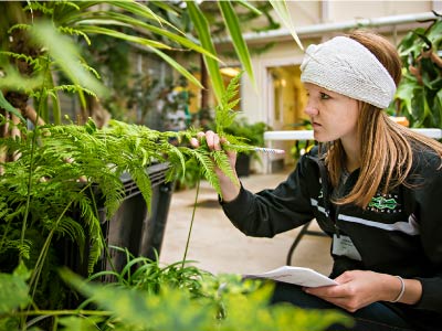 A student works with plant in class