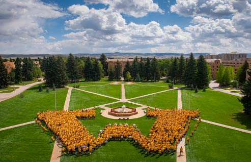 A very large group of students for the letter "W" on Prexy's Pasture in the summer.